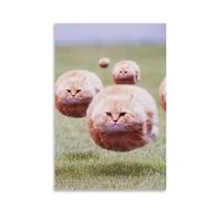 Ball cats