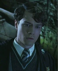 Tom Riddle 