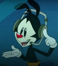Yakko 