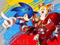 team sonic roomates