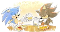 Sonic and Shadow