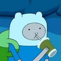 Finn The Human