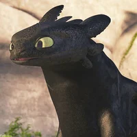 06- Toothless