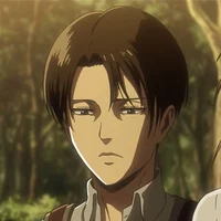 Levi ackerman 