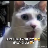 R U SILLY