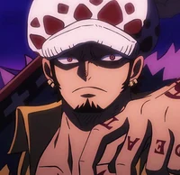 Trafalgar Law 