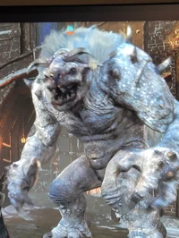 Frost graug