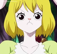 Carrot