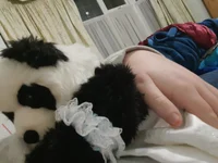 Victoria Panda