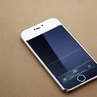 Phone Interviewer