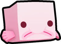 Pet sim 99 Blobfish