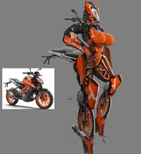 Anthro KTM Duke 