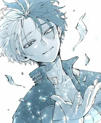TODOROKI SHOTO