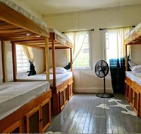 Female Roommates 