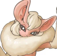 Paolumu