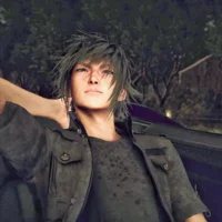 Noctis Lucis Caelum