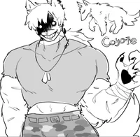 Coyote