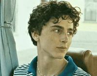 Thimothee Chalamet 