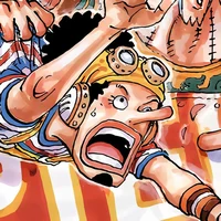 Usopp sick