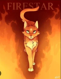 Warrior cats rp