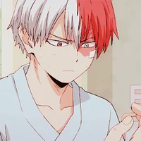 -Shoto Todoroki