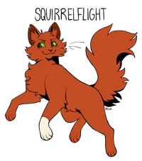 Squirrelflight