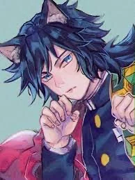 Tomioka gato