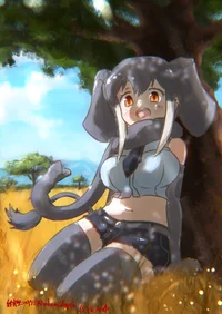 Elephant gf
