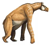 Not a horse