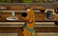 Scooby Doo 