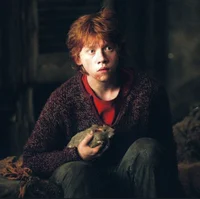 Ron Weasley