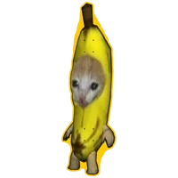 Banana Cat