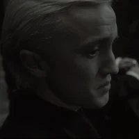 Draco Lucius Malfoy 