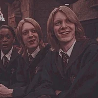 The Weasley twins