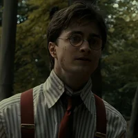 Harry James Potter 