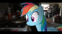 Rainbow Dash RLF
