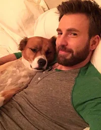 Chris evans