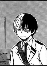 Shoto Todoroki