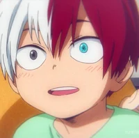 shoto todoroki