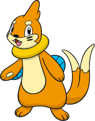 Buizel