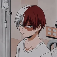 Shoto Todoroki