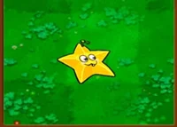 Starfruit