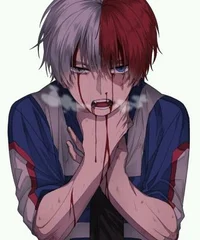 Shoto Todoroki 