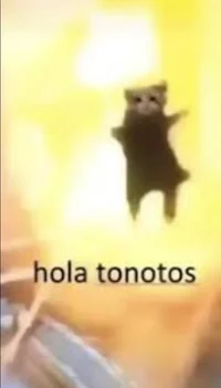 Hola Tonotos