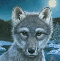 Faolan Lone Wolf