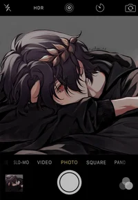 BF Veritas