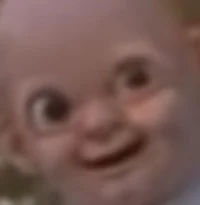 Warrior cats academy