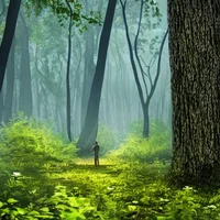 Minecraft entity RPG