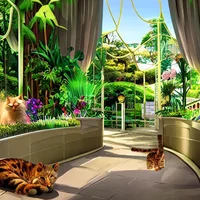 Zoo uwu cat  Habitat