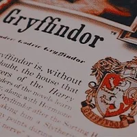 Gryffindor chicos 